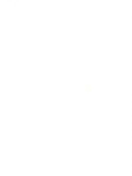 ЛДСП EGGER 2800x2070x18мм  W1000_ST30 Білий преміум / глянець ВИВЕЛИ